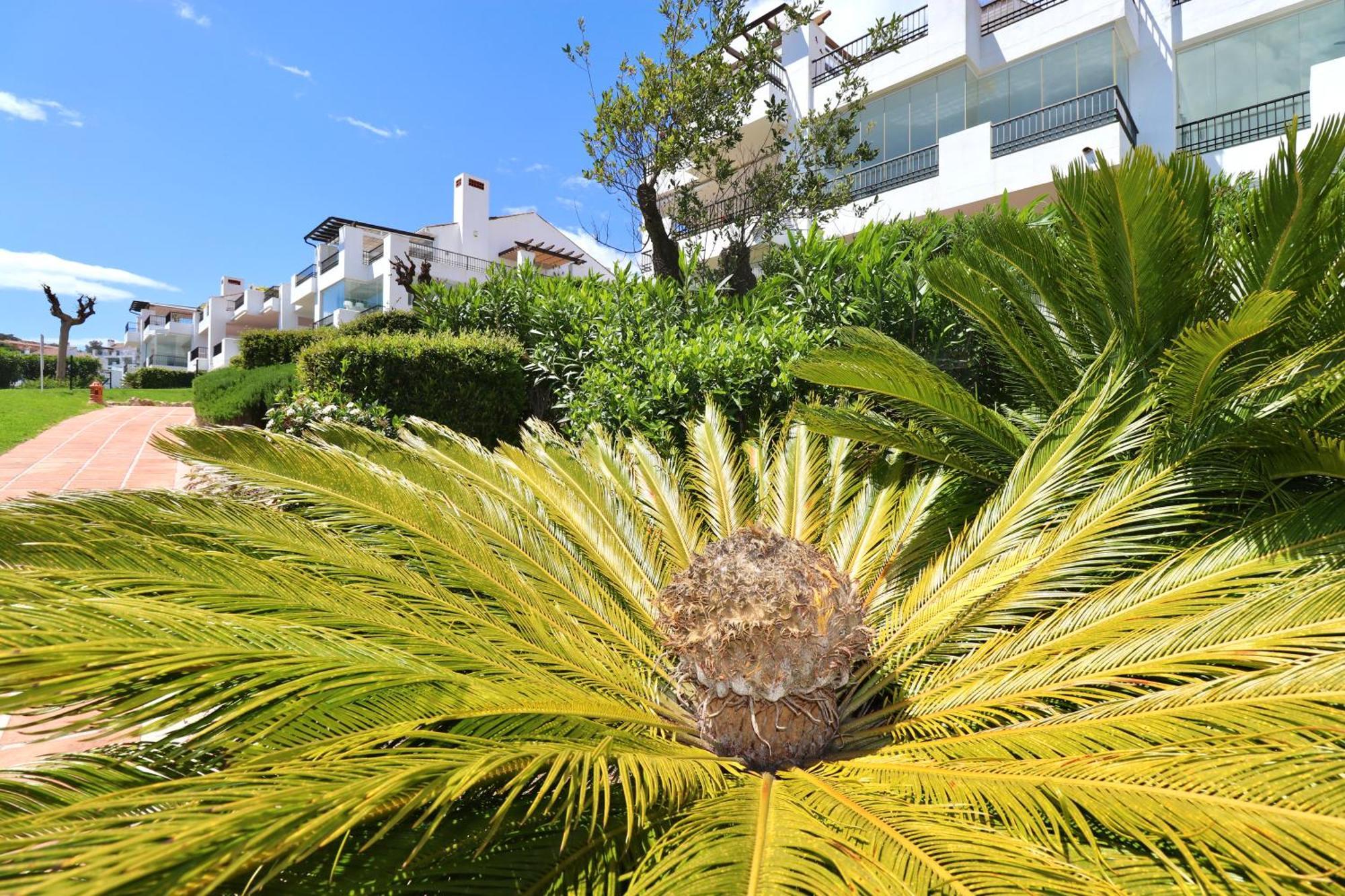 Mirador Marbella Pool Golf Gym Sauna Ojen Exterior photo